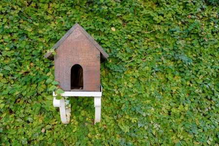 A portrait of a bird nest or bird house isolated by wall of vines