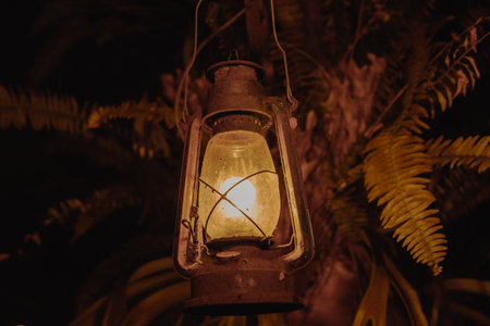 An oil lamp lantern is lit up in the dark. The lantern is hanging from a tree branch.