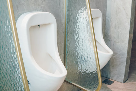 Two urinals in a bathroom with a glass partition between them. The urinals are white and have a gold trim. The bathroom is clean and well-maintained.の写真素材