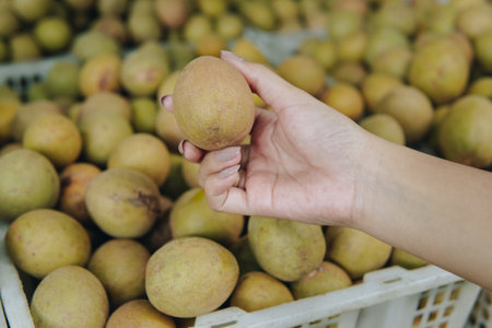 A person's hand holding a sapodilla fruit with baskets full of fruits in the background.の写真素材
