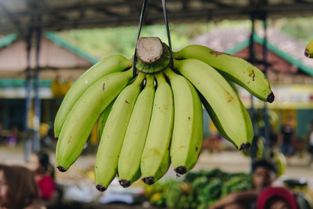 A bunch of green young bananas hanging in a fruit stall outdoors in a fruit market, with a blurred few people in the background.の写真素材