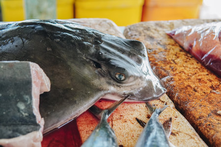 Close up picture of a ocean fish stingray on a table. The fish is fresh and for sale in the market.