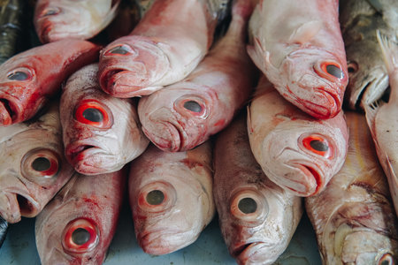A pile of fresh snapper and gourami fish on a table for sale in the market.の写真素材