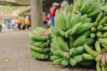 Raw bananas in green color being displayed for selling in a traditional market.の写真素材