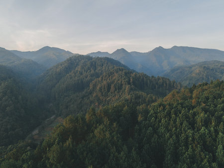 Aerial view of landscape morning forest hills in Dieng, Wonosobo, Indonesia.の写真素材