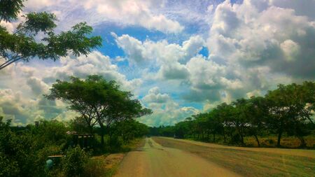 some cloudy day at Bungur south kalimantanの写真素材
