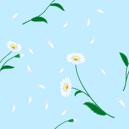 Delicate seamless pattern of white daisiesのイラスト素材