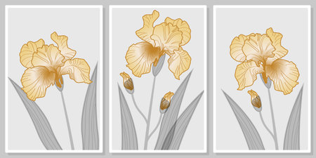 Luxurious silver golden iris flowers and leaves- wall art set, for wall art, poster, wallpaper, printのイラスト素材