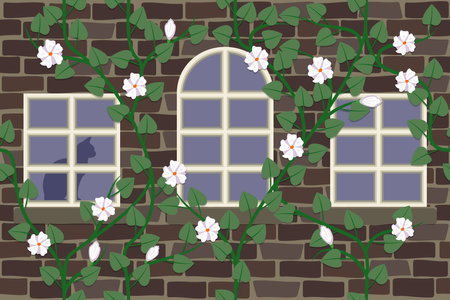 Brick wall covered with plants, windows, in one of the windows a silhouette of a catのイラスト素材