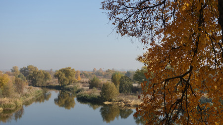 The view from the shore of the river and the distant forest in autumn.