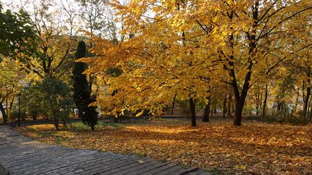 Staircase in the autumn park