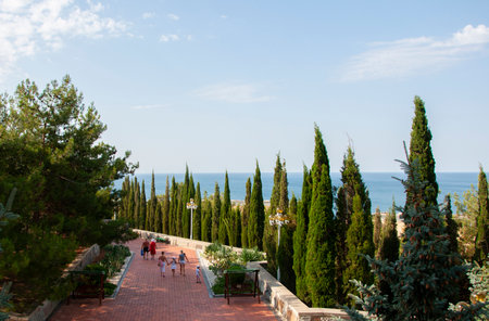 Alley in the park with cypresses in the Crimea in the village of Morskoeの写真素材