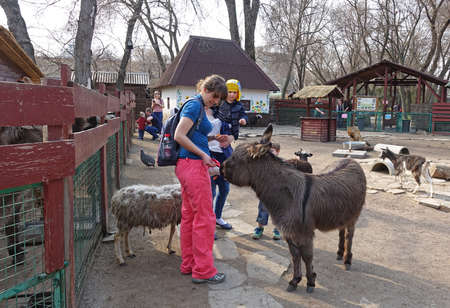 Parents with kids treat a donkey with carrots at the zooのeditorial素材