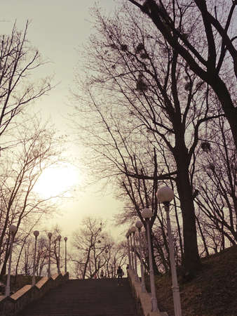 Stairs in the park at sunset in spring