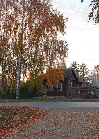 View of an old wooden house at sunsetの写真素材