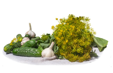 Cucumbers, garlic and dill umbrellas on a white backgroundの写真素材