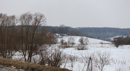 Winter landscape with forest on the hillsの写真素材