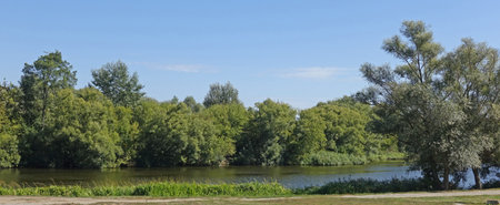 Landscape with trees above the river on a summer dayの写真素材