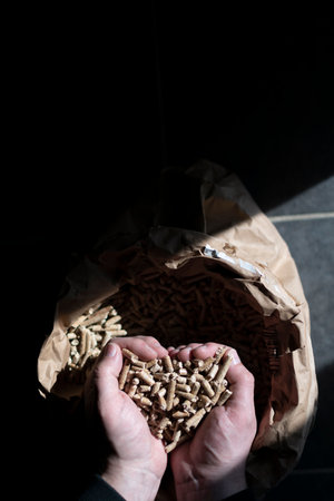 Fir pellet kraft bag with handsの写真素材