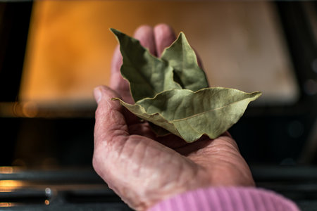 Hand holding bay leaves in front of an oven in a kitchen, dry leaves, cooking with bay leaves,...