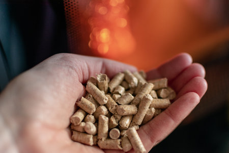 Hand holding pellets in front of the glass of a stove with a beautiful flame