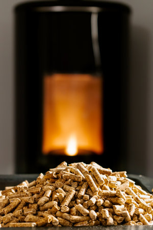 Modern domestic pellet stove, granules stove with flamesの写真素材
