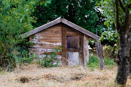 Pretty self-built wooden cabin in a wooded gardenの写真素材