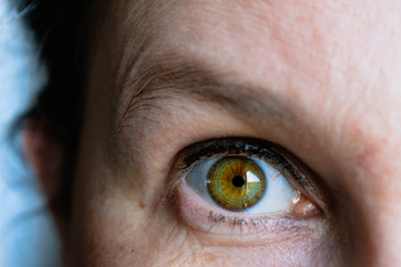 Green eyes with eyelash and light brown iris with a reflection of lightの写真素材