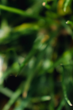 Green abstract background, greenery backdrop