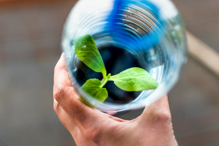 Seedling in a plastic bottle, reuse of materials, light, heat, reduction of disease, good...
