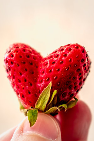 Funny heart shaped strawberry, fragaria, fragumの写真素材