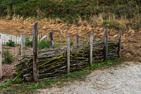 Dry hedge or Benjes hedge made of maintenance pruning branches, dead wood and roots, maintenance-free hedge, zero waste, upcycling, ecological, biotope welcoming to wildlifeの写真素材