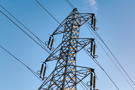 Sunrise with an electricity pylon and nature