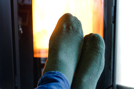 Pellet stove burning with flame in a living room