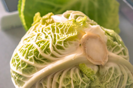 Green kale in a kitchen, brassica oleraceaの写真素材