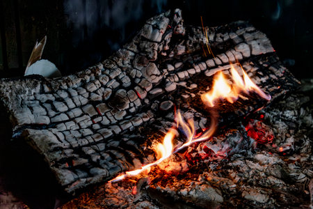 Fire in a fireplace in the living room