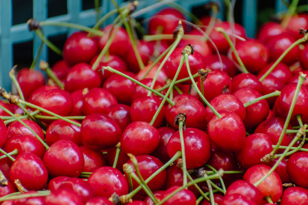 Cherry harvest, healthy fruit, real life photo