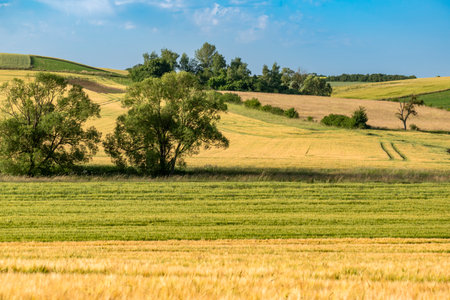 Countryside landscape with sky and fields, real life photoの写真素材