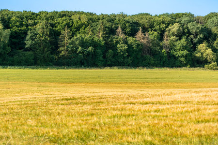 Countryside landscape with sky and fields, real life photoの写真素材