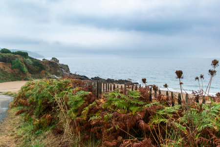Seaside landscape in Armor Coast, Brittany in Franceの写真素材