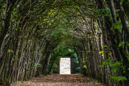 Rosanbo castle in Lanvellec, Armor Coast, Brittany in Franceの写真素材