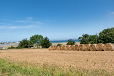Illustration of Brittany in France, granite, sea, land