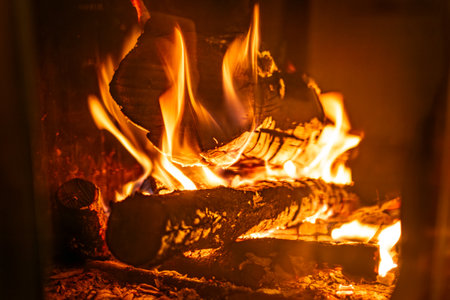 Fire in a fireplace in the living room