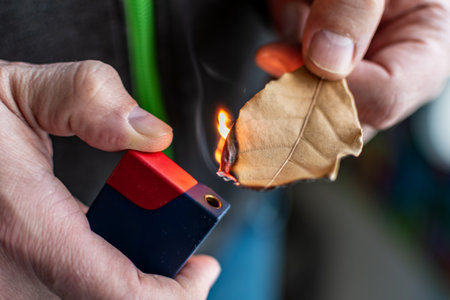 Person who burn bay leaves to bring serenity, reduce anxiety, relieve headaches and fatigue and purify the home, laurus nobilisの写真素材