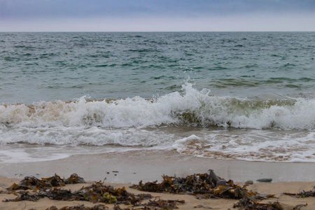 Seaside landscape in Armor Coast, Brittany in France