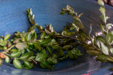 Religious element for illustration christian church, catholic, spirituality, conceptの写真素材