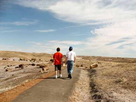 Walking in the Petrified Forestの写真素材