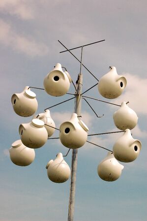 Bird Penthousesの写真素材