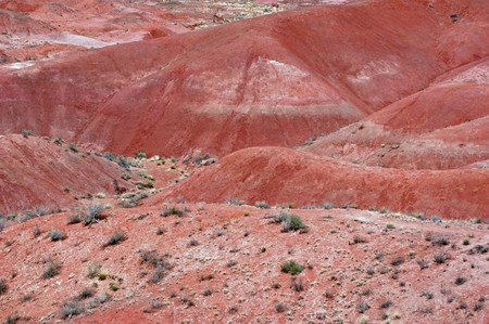 Petrified Forest Landscape - Arizonaの写真素材