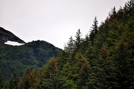 Juneau Coastline